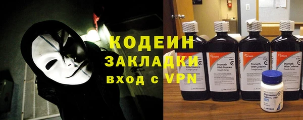 прущие грибы Корсаков