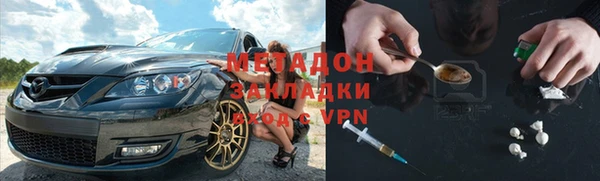 прущие грибы Корсаков