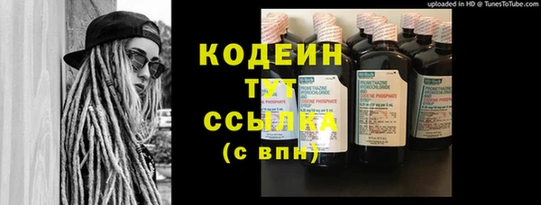 прущие грибы Корсаков