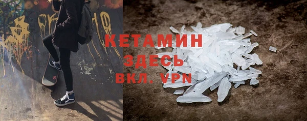 прущие грибы Корсаков