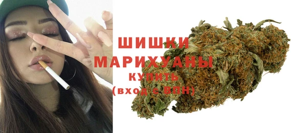 прущие грибы Корсаков
