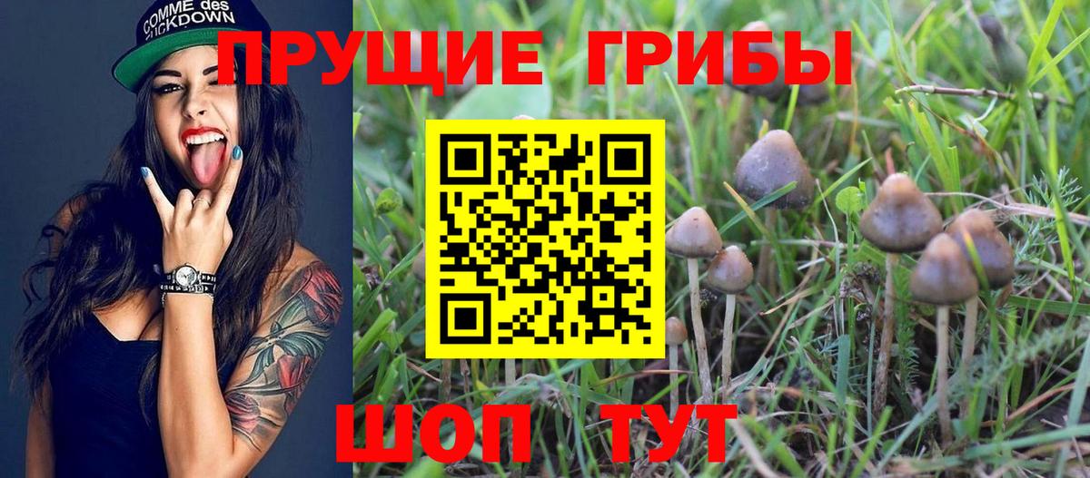Бошки Шишки  Вход с VPN  Мефедрон кристаллы  Мелеуз  ГАШИШ  ГАШ  Alpha PVP СОЛЬ кристаллы 