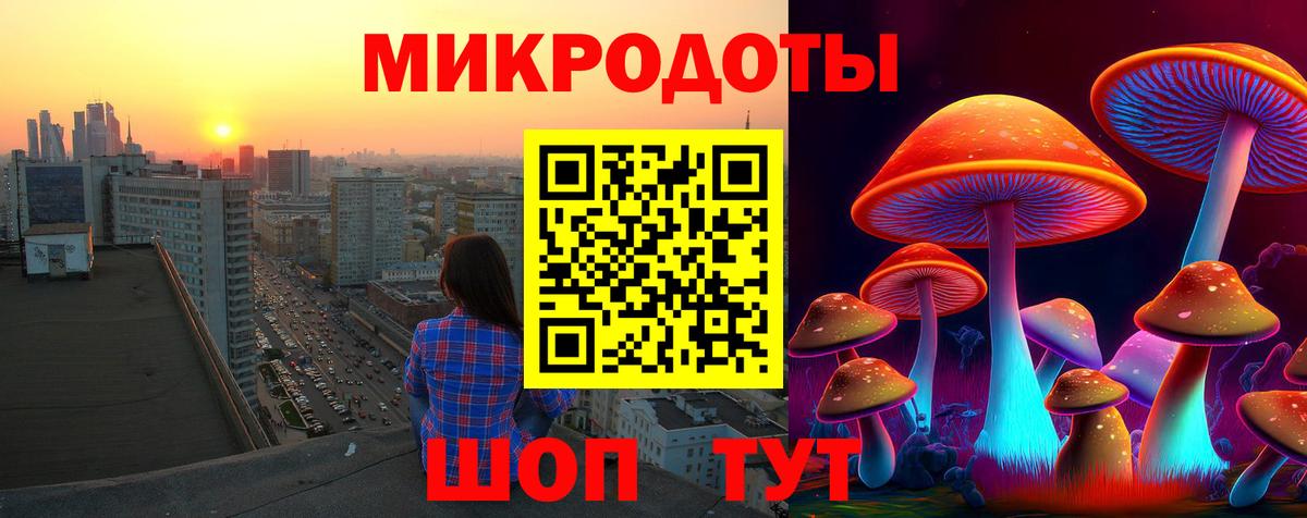 как найти наркотики  Вход с VPN  Мелеуз  Галлюциногенные грибы GOLDEN TEACHER 